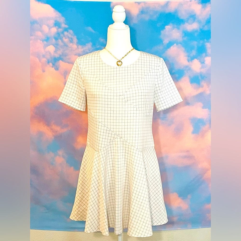 Uniquely Sweet  White/Black Windowpane Fit and Flare Dress (FINAL PRICED ITEM)